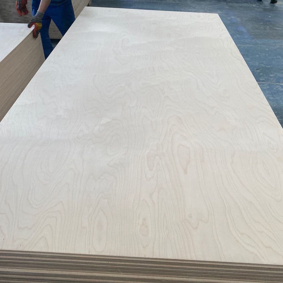Birch Plywood