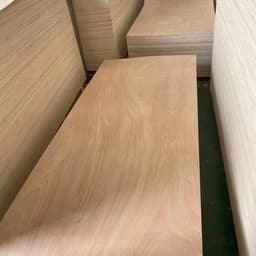 Door Skin Plywood Thin Thickness 3X7 ft Plywood