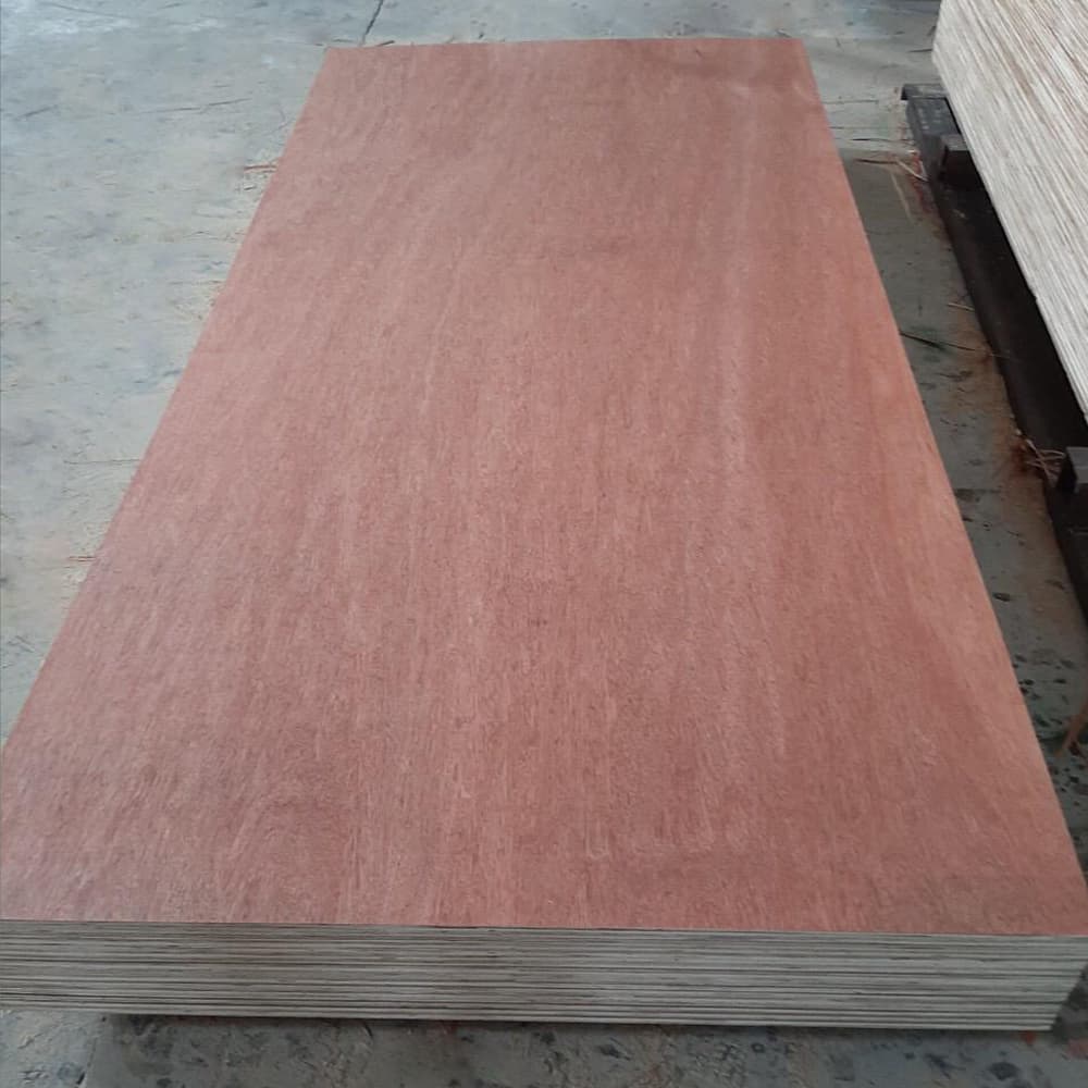 Red Bintangor Plywood For Furniture Packing Industry