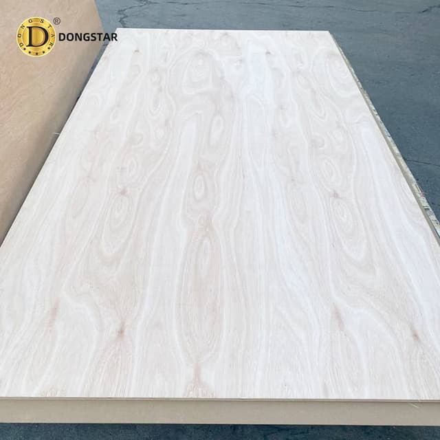 What is Plywood? Complete Guide for Importers in 2026